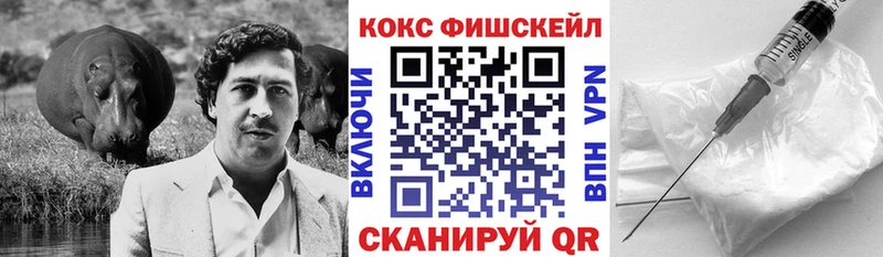 Купить где  Чудово  Cocaine Fish Scale 
