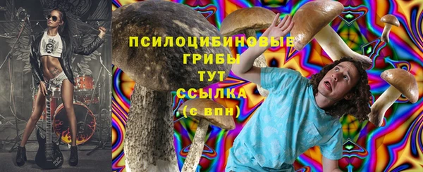 герыч Россошь