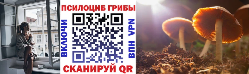 Псилоцибиновые грибы GOLDEN TEACHER  Купить закладки  Чудово 